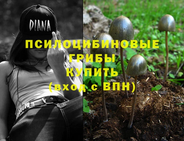 мескалин Бородино