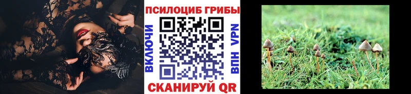 Псилоцибиновые грибы Magic Shrooms Кочубеевское